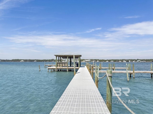 dock area featuring a water view