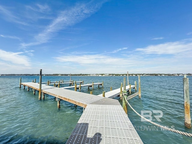 dock area featuring a water view