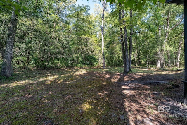 109 Palmer St, Brewton, AL 36426 - view of nature featuring a view of trees