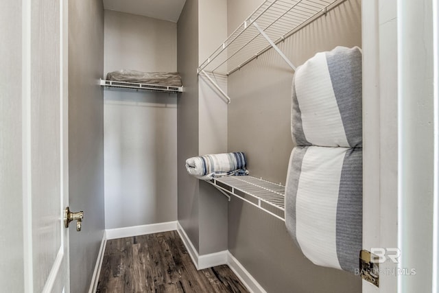 walk in closet featuring dark wood-type flooring