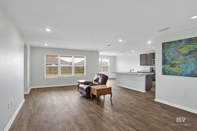 sitting room featuring sink and dark hardwood / wood-style flooring