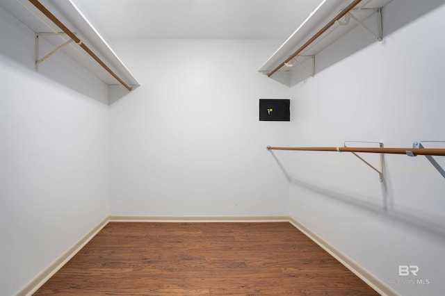 6 Pirates Ln, Spanish Fort, AL 36527 - spacious closet featuring wood finished floors