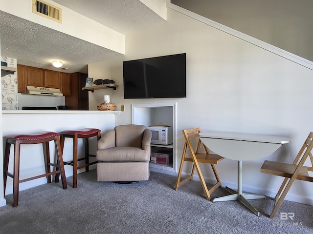 interior space with a textured ceiling and dark carpet