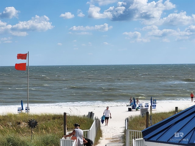 water view featuring a beach view