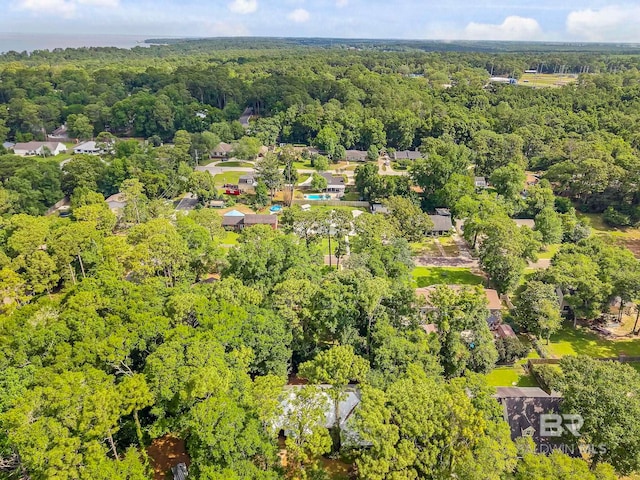 651 Olive Ave, Fairhope, AL 36532 - drone / aerial view of a forest