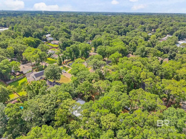 651 Olive Ave, Fairhope, AL 36532 - aerial view of a heavily wooded area