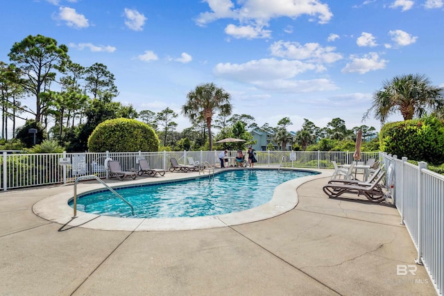 view of pool with a patio