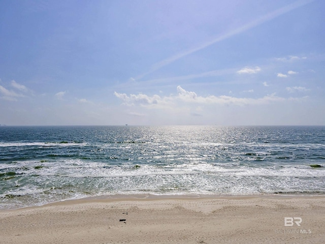 property view of water with a view of the beach