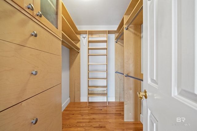 spacious closet featuring wood finished floors