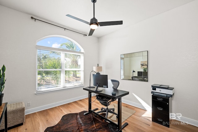 office featuring ceiling fan and hardwood / wood-style flooring