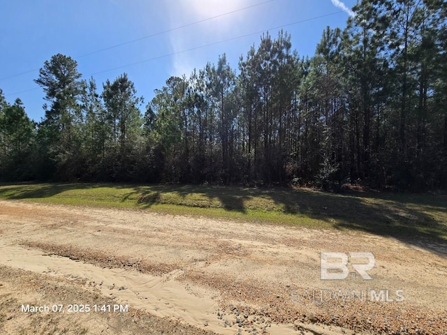 224 Our Ln, Brewton AL, 36426 land for sale