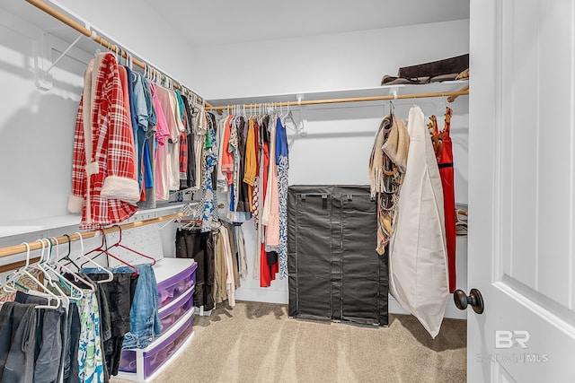 spacious closet with carpet