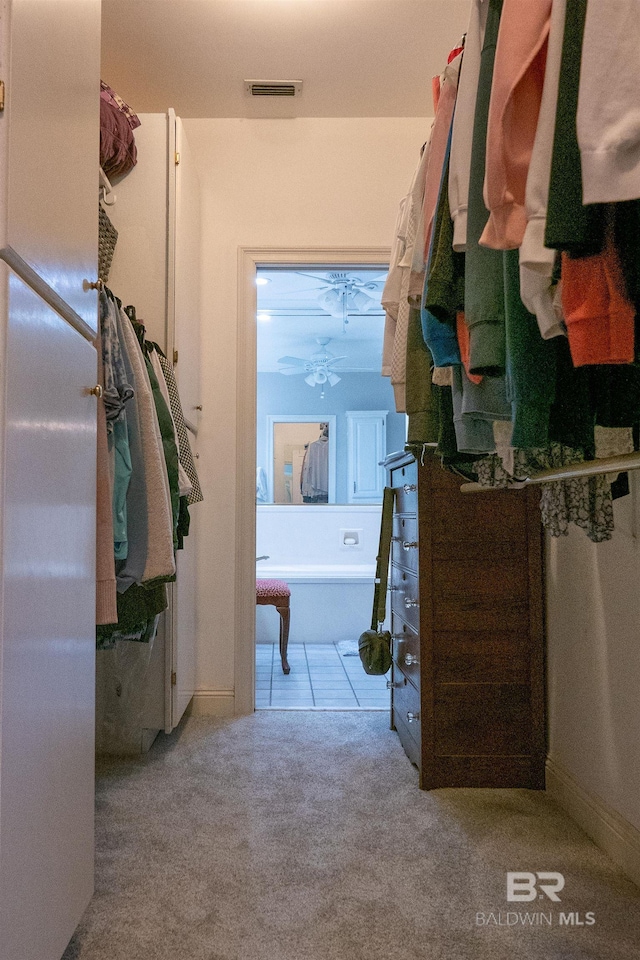 spacious closet featuring light colored carpet