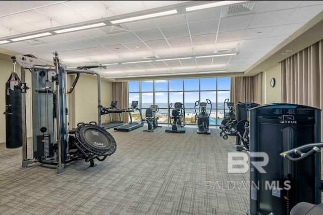workout area featuring carpet flooring and visible vents