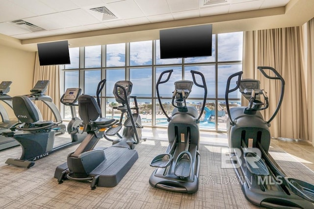 workout area with carpet flooring, visible vents, a drop ceiling, and a wall of windows