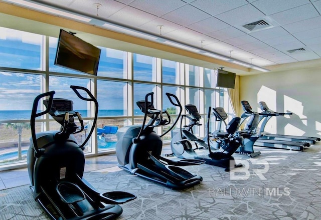 workout area with visible vents, carpet flooring, floor to ceiling windows, and a wealth of natural light