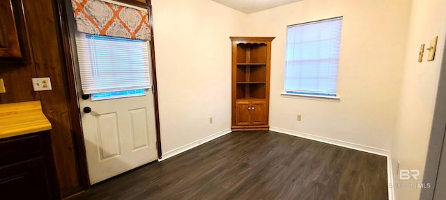 entryway featuring dark hardwood / wood-style flooring