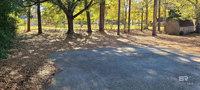 view of yard with a storage shed