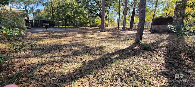 view of yard featuring a storage unit