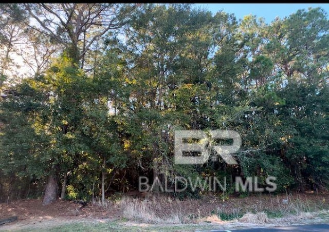 Listing photo 2 for 0 Higgins Rd, Mobile AL 36619