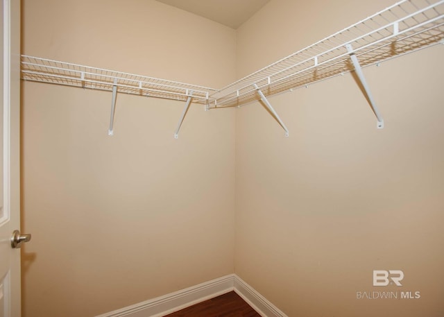 spacious closet featuring hardwood / wood-style flooring