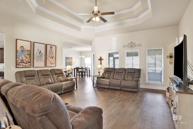 living room with a tray ceiling, dark wood finished floors, a wealth of natural light, and ceiling fan with notable chandelier