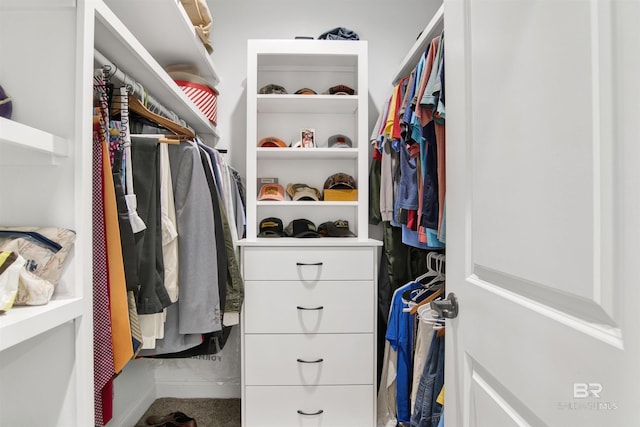 5698 Spring Landing Dr, Theodore, AL 36582 - view of walk in closet