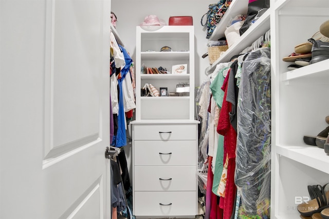 5698 Spring Landing Dr, Theodore, AL 36582 - view of spacious closet