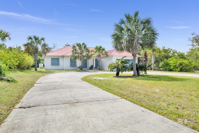 ranch-style home featuring curved driveway, stucco siding, a front yard, and metal roof
