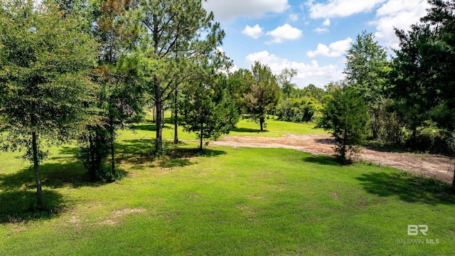 1609 Makaira Dr, Foley, AL 36535 - view of property's community featuring a yard