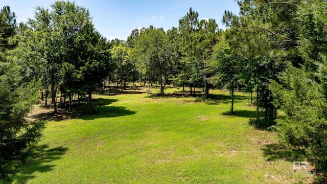 1609 Makaira Dr, Foley, AL 36535 - view of green lawn