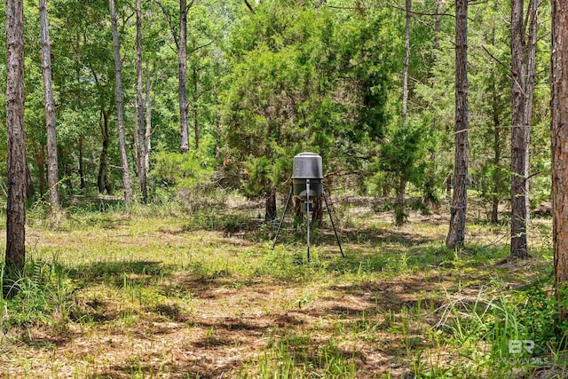 1609 Makaira Dr, Foley, AL 36535 - view of local wilderness
