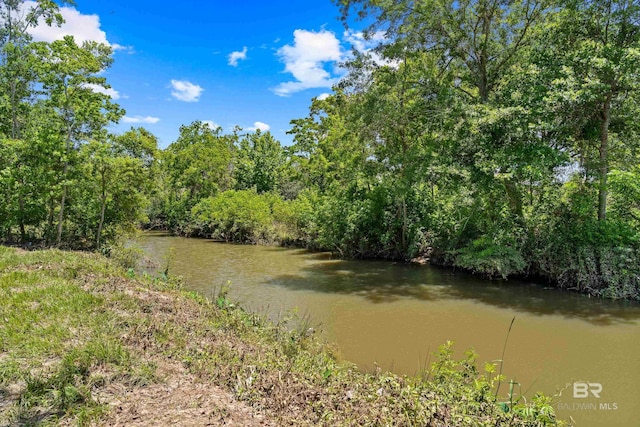 1609 Makaira Dr, Foley, AL 36535 - water view