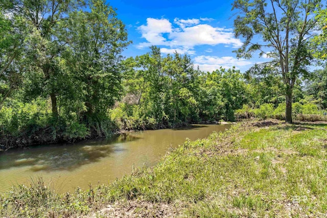 1609 Makaira Dr, Foley, AL 36535 - water view with a forest