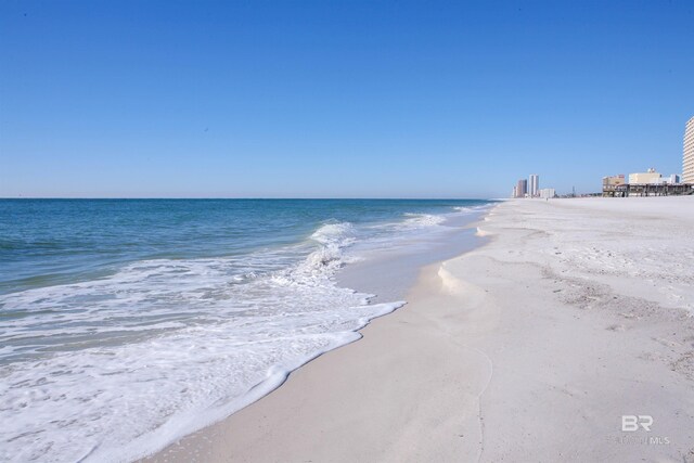 water view featuring a view of the beach