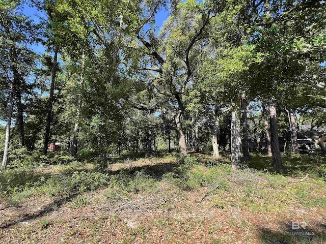 9545 N Bayou Rd, Lillian AL, 36549 land for sale