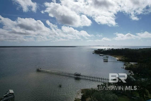 property view of water