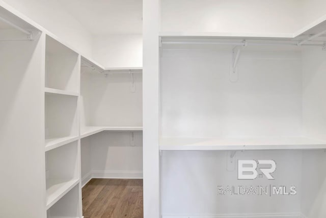 384 Garrison Blvd, Fairhope, AL 36532 - spacious closet featuring wood finished floors