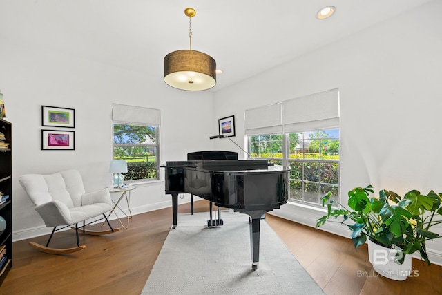 home office with a wealth of natural light and hardwood / wood-style flooring