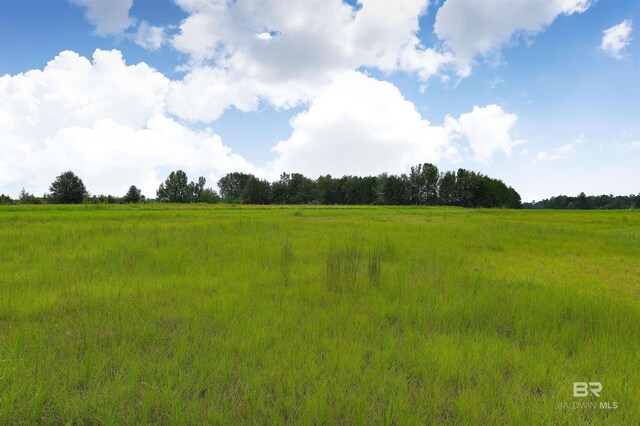 view of landscape with a rural view