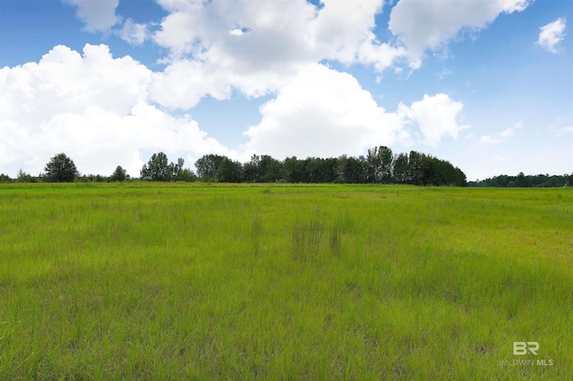 view of nature featuring a rural view