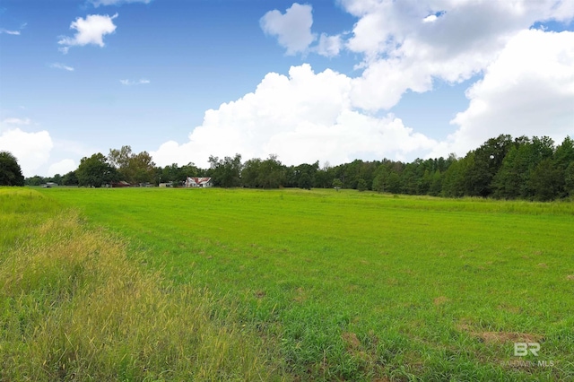 view of local wilderness with a rural view