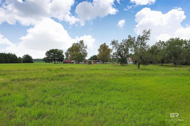 view of yard with a rural view