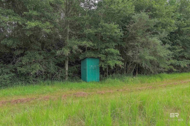 view of local wilderness with a wooded view