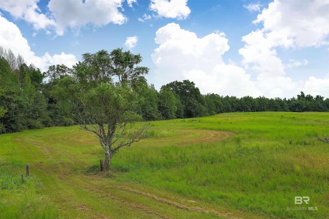 view of landscape