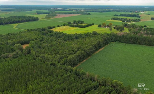 bird's eye view featuring a rural view