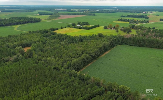birds eye view of property featuring a rural view