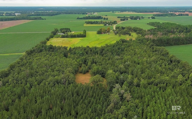 birds eye view of property with a rural view
