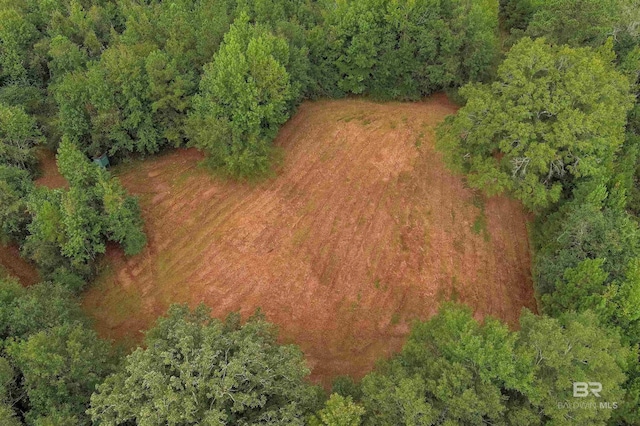 drone / aerial view with a wooded view
