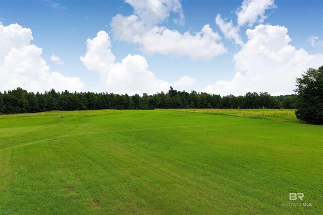 view of property's community featuring a yard